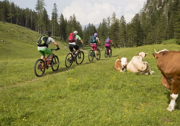 Mountainbike-Tour auf der Hütteneckalm