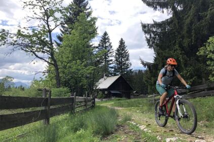 Der Radweg führt vorbei an urigen Hüttchen und einem lauschigen Wäldchen