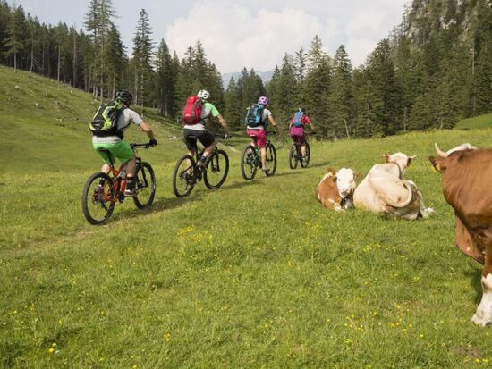 Mountainbike-Tour auf der Hütteneckalm