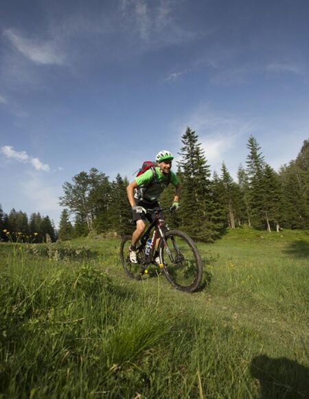 Ein Mann fährt mit dem Mountainbike in der Wiese