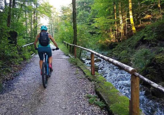 Mountain biking in the forest