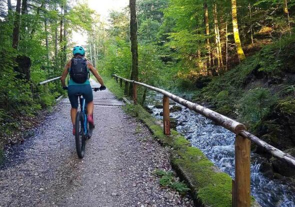 Mountainbiken im Wald