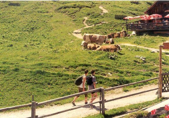Huts Hiking trails Huts Hiking trails