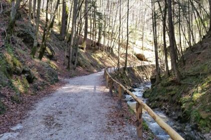 Frühlings-Biketour - Radweg zum Nussensee