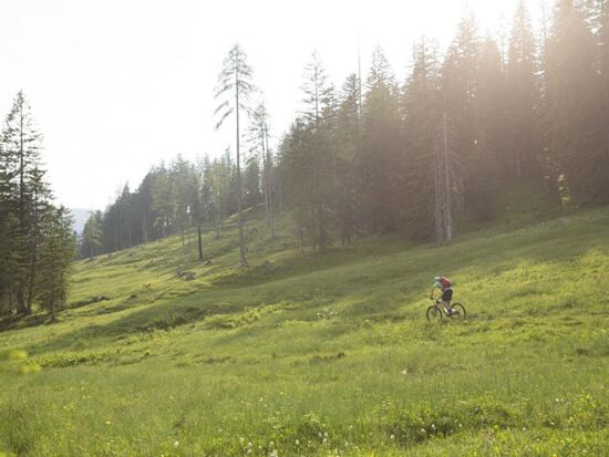 Mit dem Mountainbike durch die schöne Landschaft des Salzkammerguts