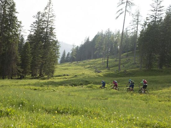 Mountainbike-Touren im Salzkammergut
