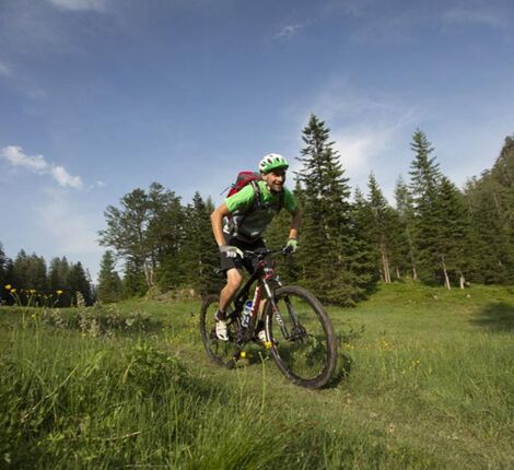 Ein Mann fährt mit dem Mountainbike in der Wiese
