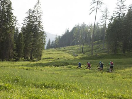 Mountainbike-Touren im Salzkammergut