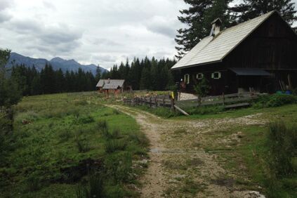 Kriemoos über Goisern