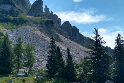Felssturz auf der Sandlingalm