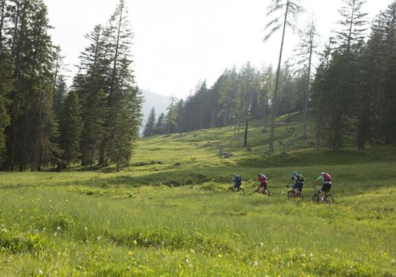 Mountainbike-Touren im Salzkammergut