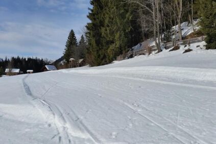 Langlaufen auf der Höhenloipe