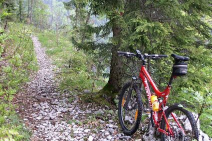 Mountainbike bei einem Waldweg