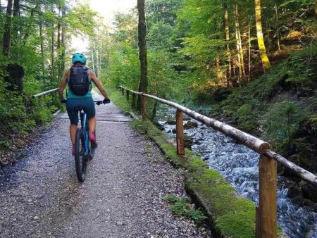 Mountain biking in the forest