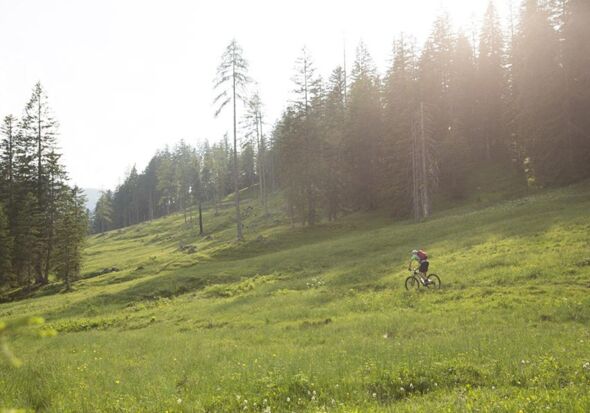 Mit dem Mountainbike durch die schöne Landschaft des Salzkammerguts