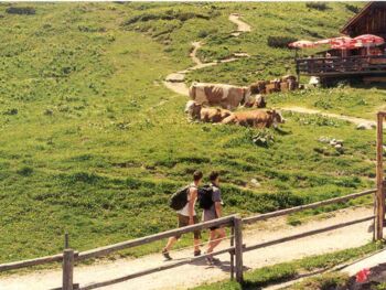 Huts Hiking trails Huts Hiking trails