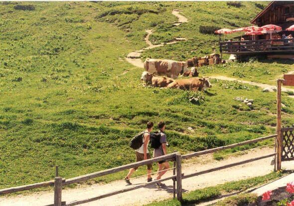 Huts Hiking trails Huts Hiking trails