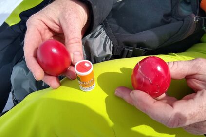 Zwei Personen "pecken" zwei rote Eier im Salzkammergut. Ein Ei ist bereits kaputt.