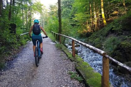 Radtour neben einem bewaldetem Bergbach im Salzkammergut