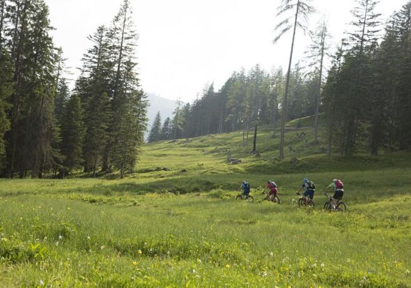 Mountainbike-Touren im Salzkammergut