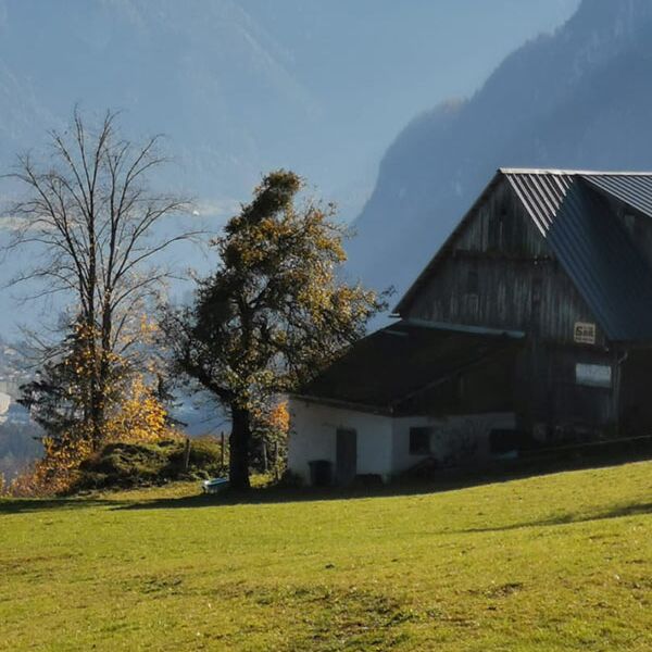 Ein kleiner Bauernhof auf dem Berg mit Blick auf den Hallstättersee