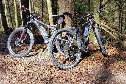 Frühlings-Biketour im Wald