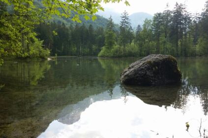 Biketour Koppenwinkelsee - Blick auf den idyllischen See