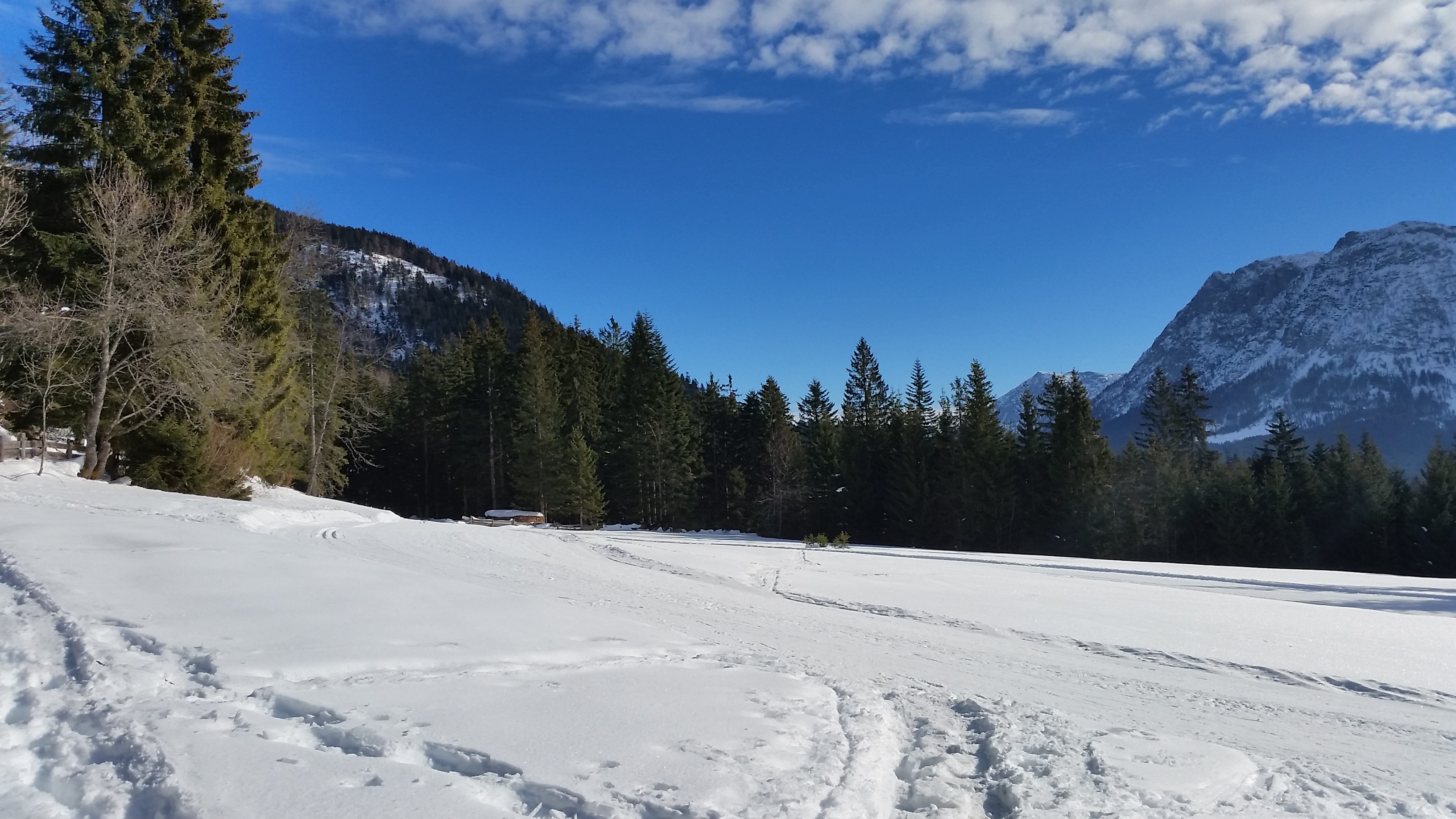 Langlauf-Höhenloipe